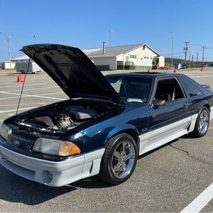 Meet your Posher, Frankie